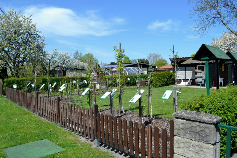 04_Leergarten_09