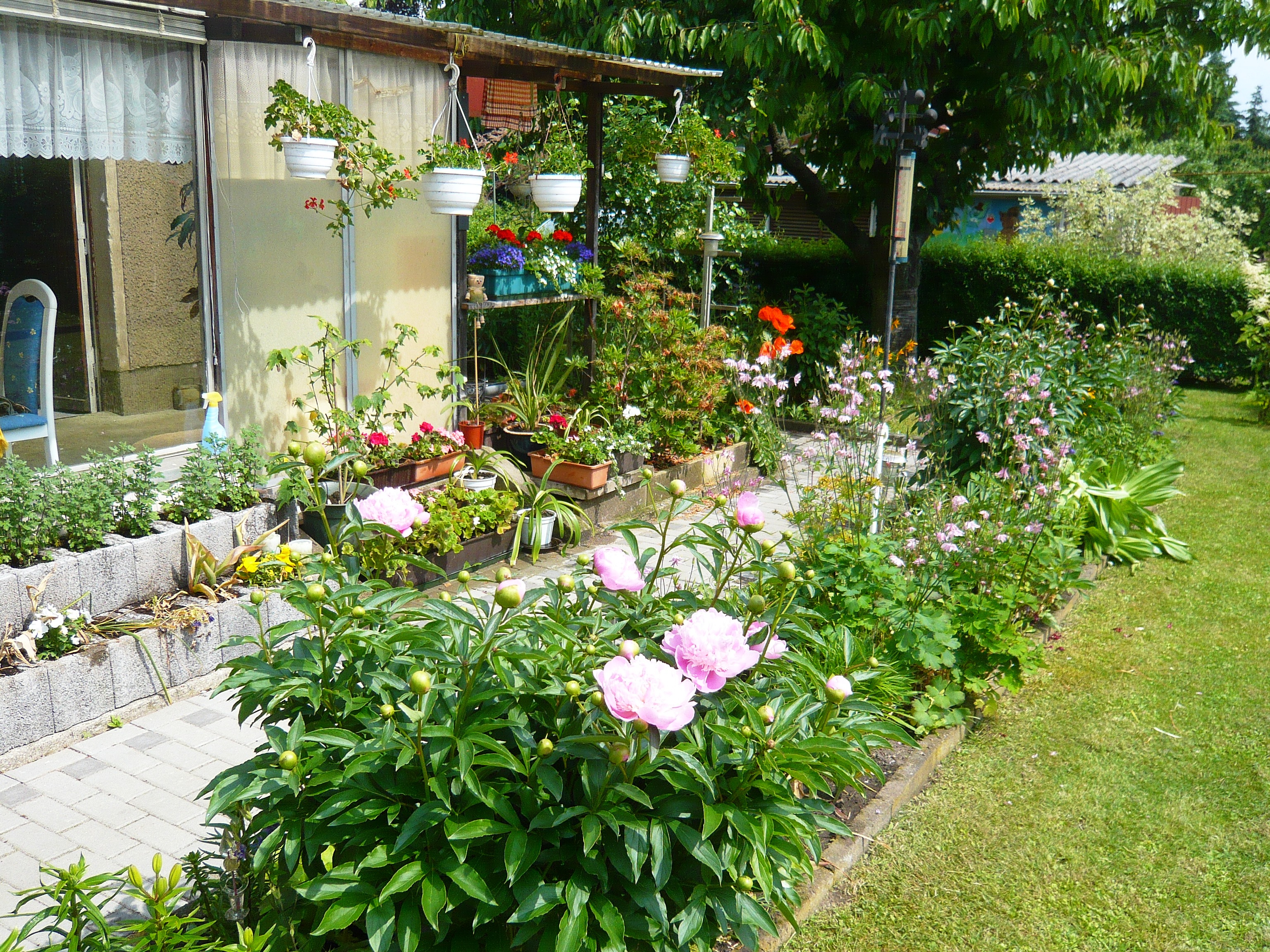 2010 054