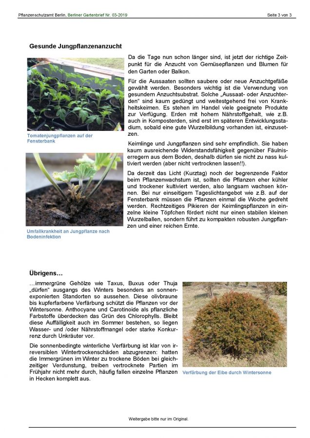 Gartenbrief_Nr_03_Seite_3 | Hellersdorfer Gartenfreunde
